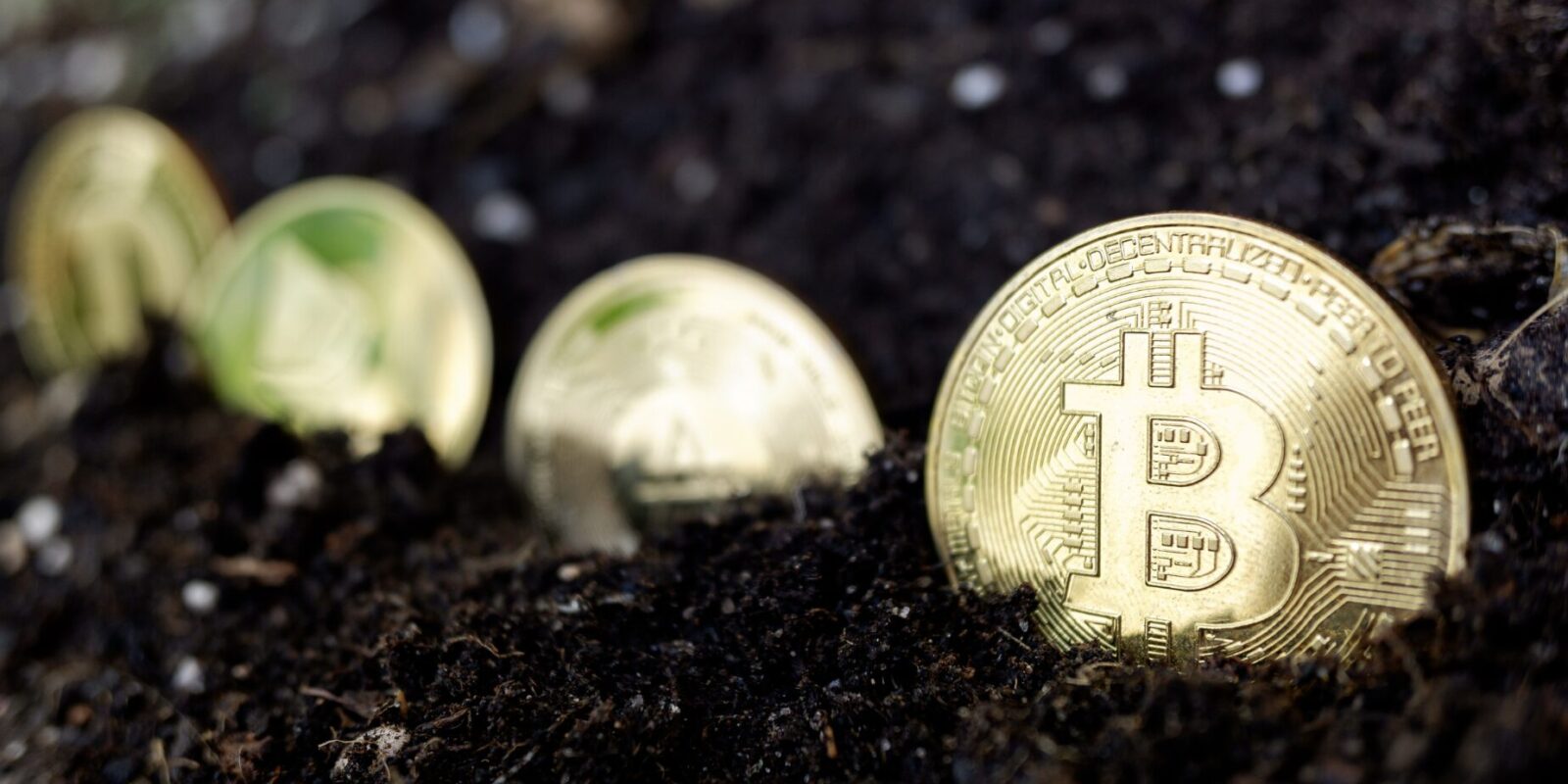 Parker Schnabel: Der Goldgräber, der mit harter Arbeit und Unternehmergeist Millionen verdiente