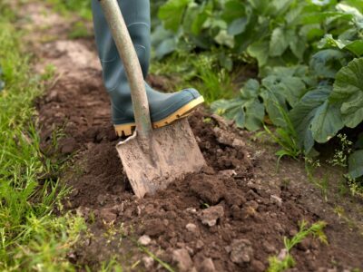 Gülletaucher Gehalt Verdienst, Chancen und Realität eines extremen Berufs