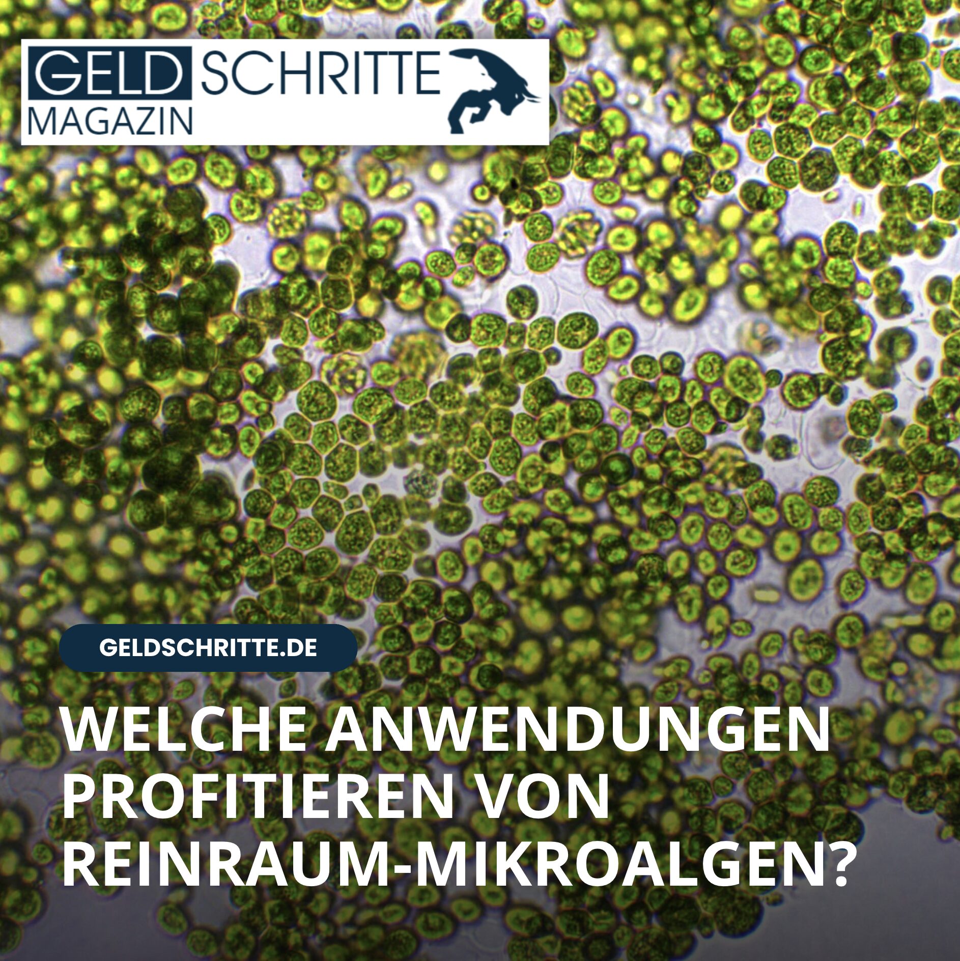 Welche Anwendungen profitieren von Reinraum-Mikroalgen? Welche Anwendungen profitieren von Reinraum-Mikroalgen?